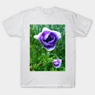 Delicate purple and white anemones T-Shirt